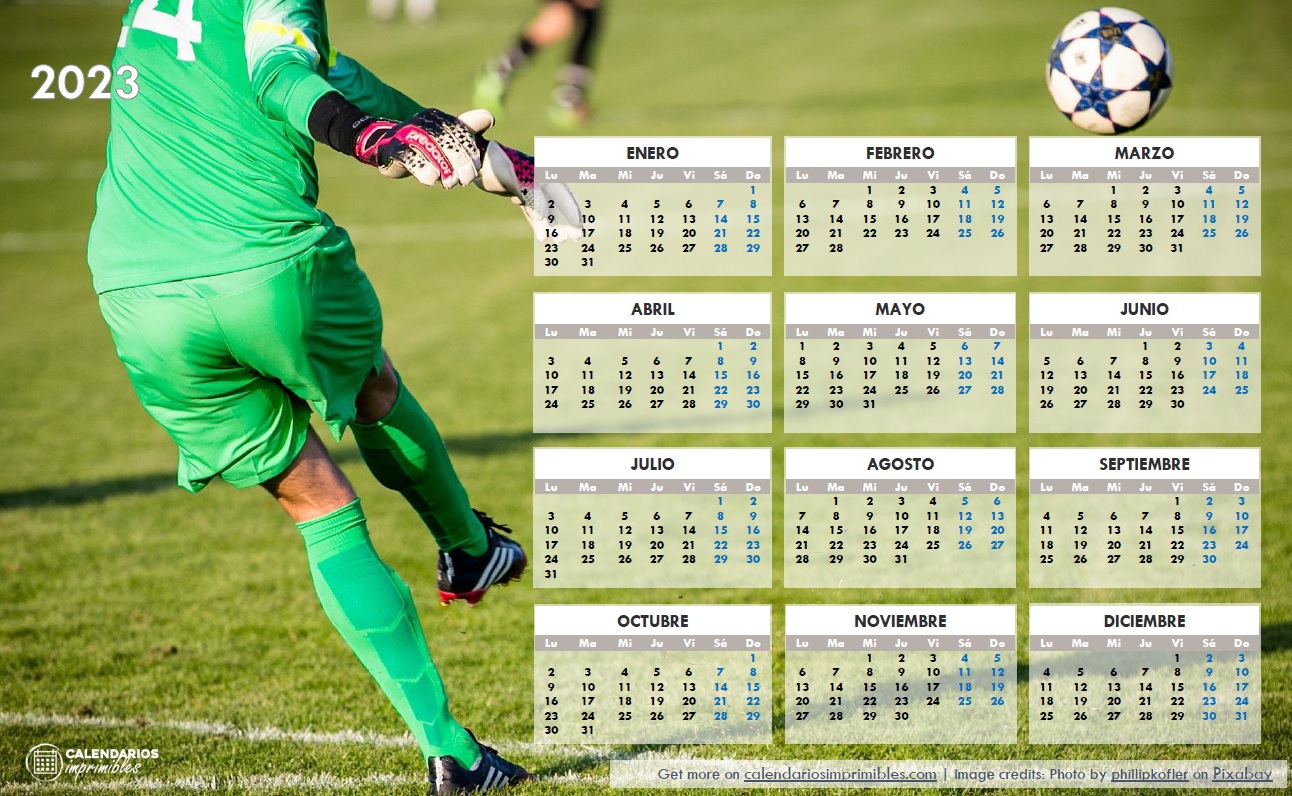 Baby Fútbol: el calendario de selecciones para el 2023. ·