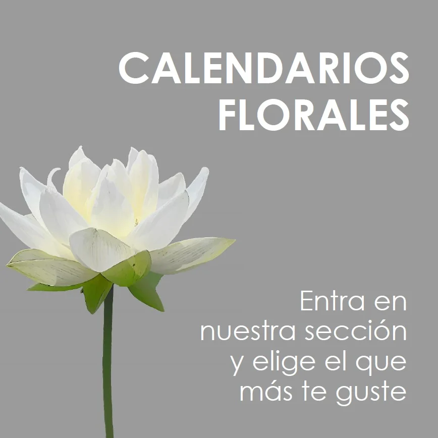 Ir a sección calendarios de calendarios de flores